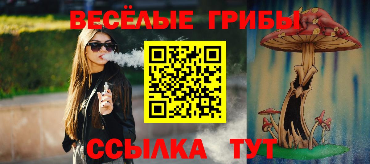 Псилоцибиновые грибы Psilocybe Можга