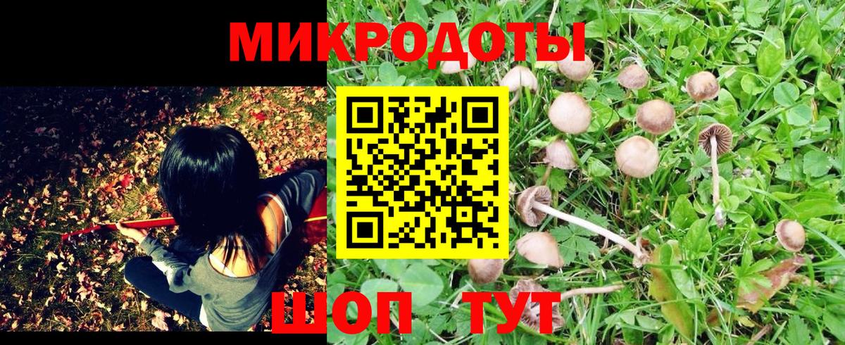 Можга  Галлюциногенные грибы Magic Shrooms  Вход с VPN 